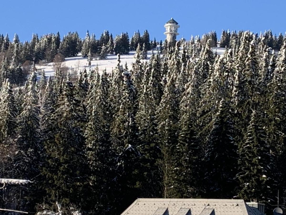 H&P Touristik Residenz Grafenmatt Gra-3-1 Apartment Feldberg  Exterior photo